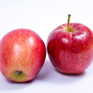 애플(apple) cpl 캔들 디퓨저용 프래그런스오일 20ml, 50ml, 100ml